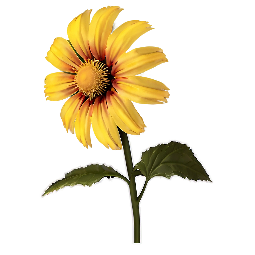 Minimalist Aesthetic Flowers Png Mto2 PNG Image