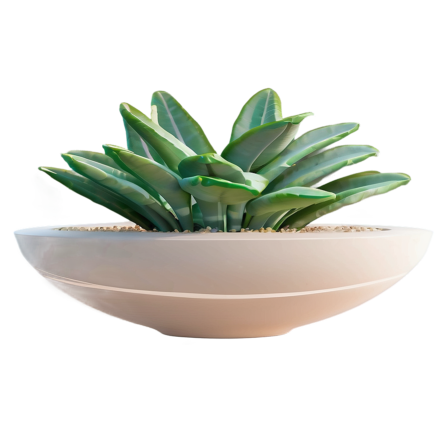 Minimalist Aesthetic Plant Png Hqo PNG Image