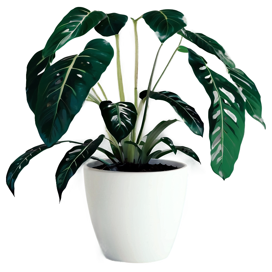 Minimalist Aesthetic Plant Png Weh37 PNG Image