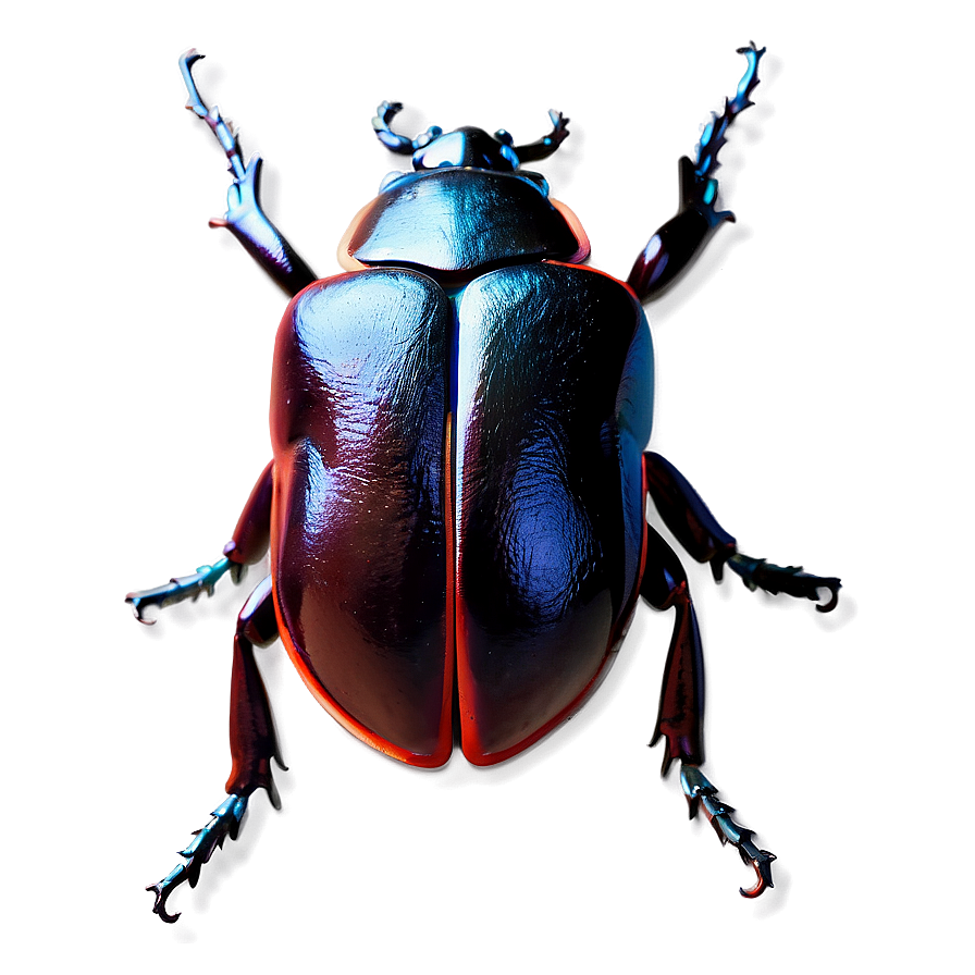 Minimalist Beetle Icon Png 97 PNG Image