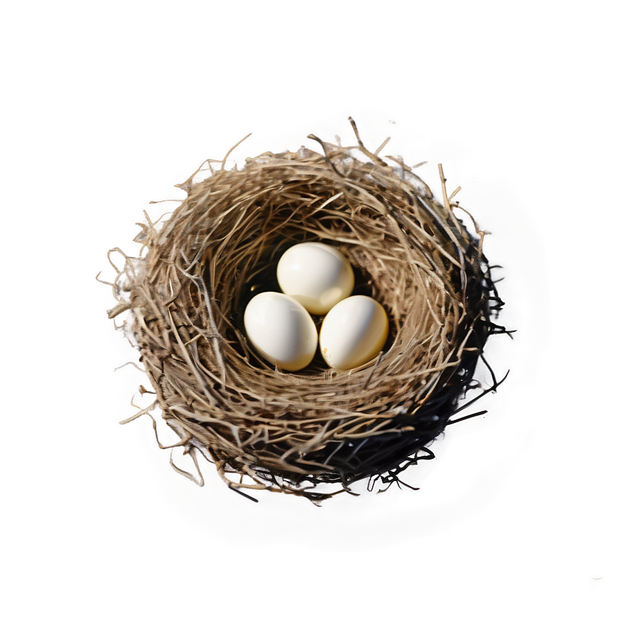 Minimalist Bird Nest Png 70 PNG Image