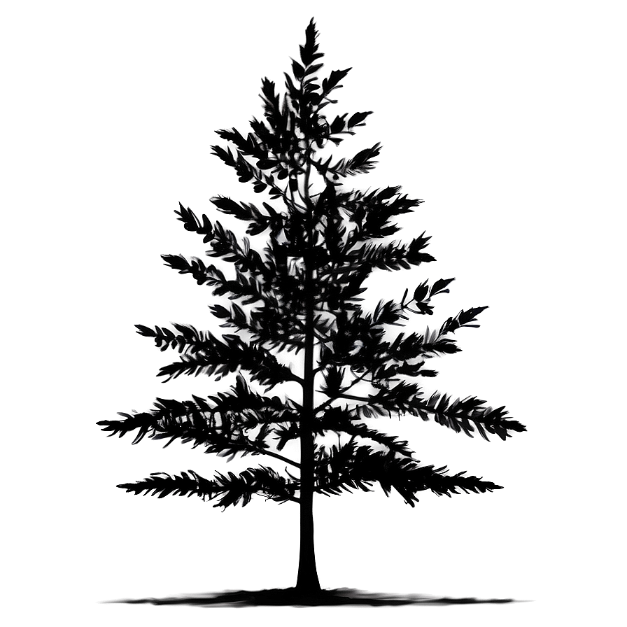 Minimalist Black Tree Png 06212024 PNG Image