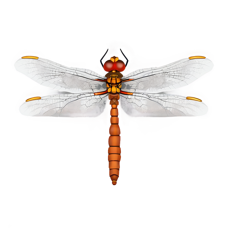 Minimalist Dragonfly Png 05212024 PNG Image