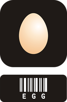 Minimalist Egg Design PNG Image