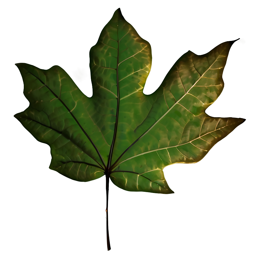 Minimalist Fall Leaf Png Ufk PNG Image