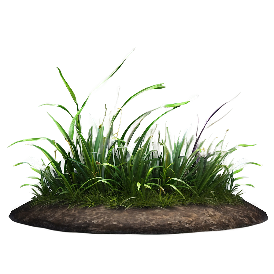 Minimalist Grass Patch Png 06212024 PNG Image