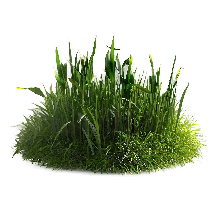 Minimalist Grass Patch Png Uac10 PNG Image