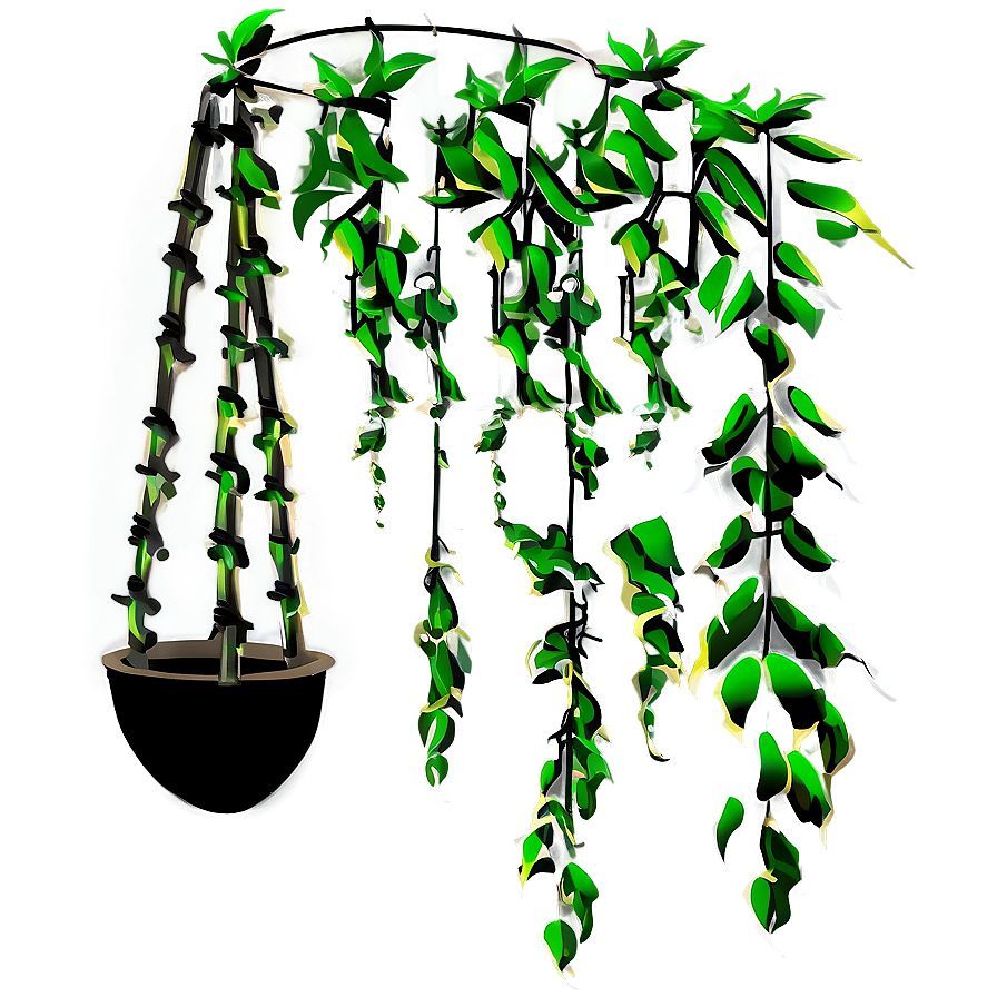 Minimalist Hanging Plant Png Rlx PNG Image