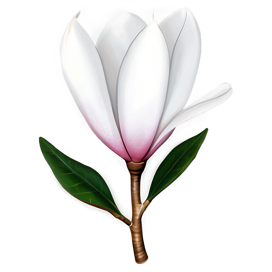 Minimalist Magnolia Flower Png Liv PNG Image