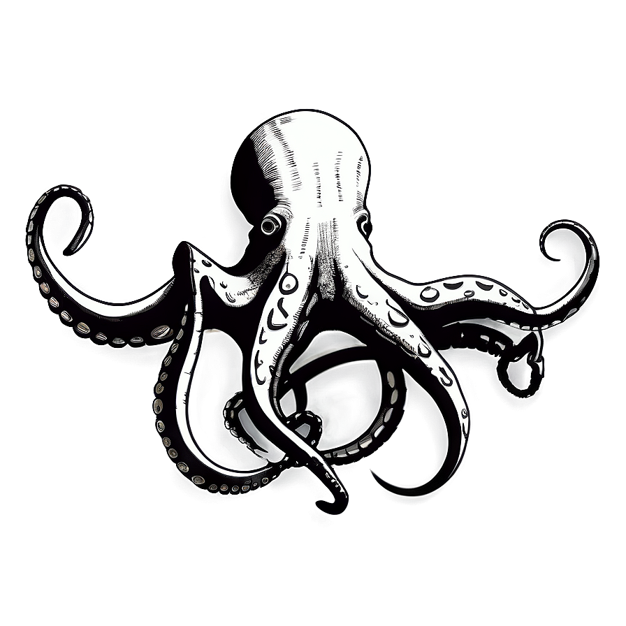 Minimalist Octopus Icon Png Pax43 PNG Image