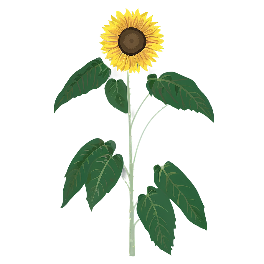 Minimalist Sunflower Png Ecj15 PNG Image