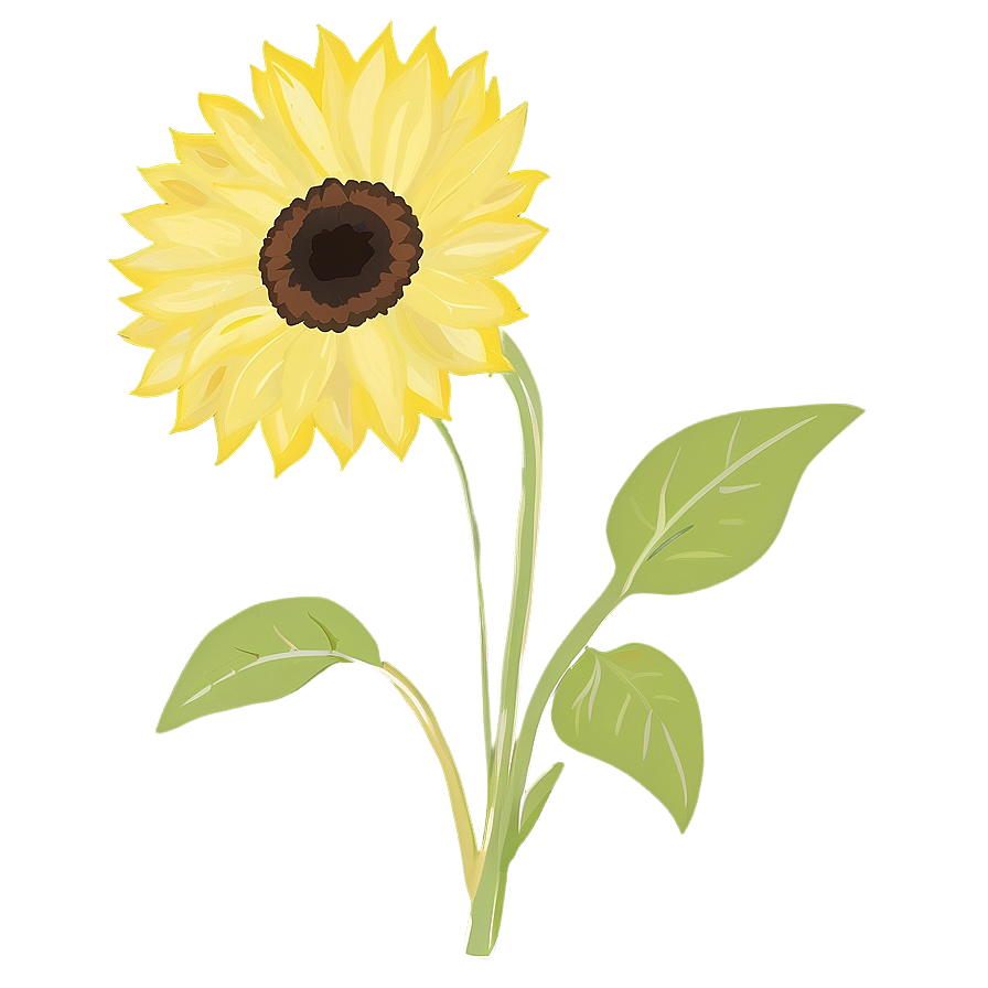 Minimalist Sunflower Png Npt PNG Image