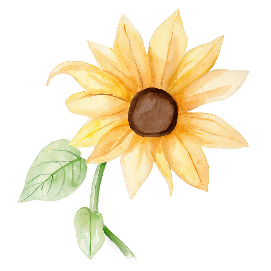 Minimalist Sunflower Watercolor Art Png Baq33 PNG Image