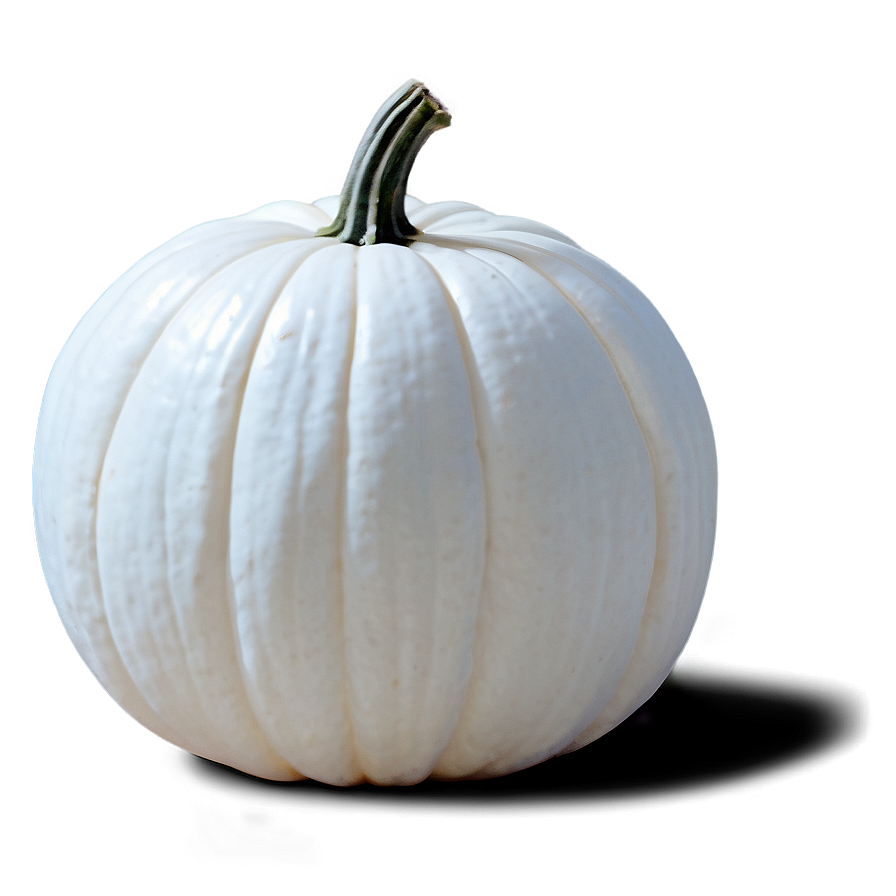 Minimalist White Pumpkin Png 87 PNG Image