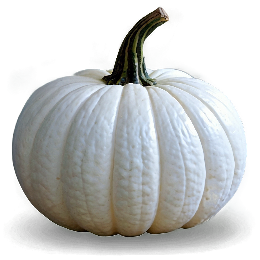 Minimalist White Pumpkin Png Hsu PNG Image