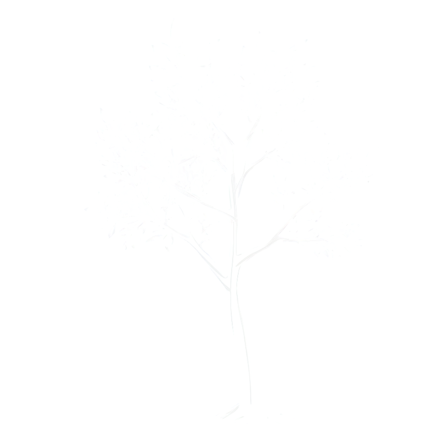 Minimalist White Tree Drawing Png 92 PNG Image