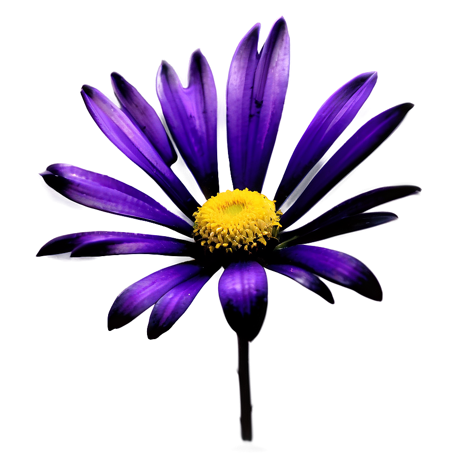 Minimalistic Flower Png Kmr PNG Image