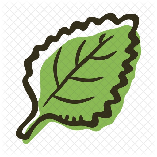 Mint Leaf Illustration PNG Image