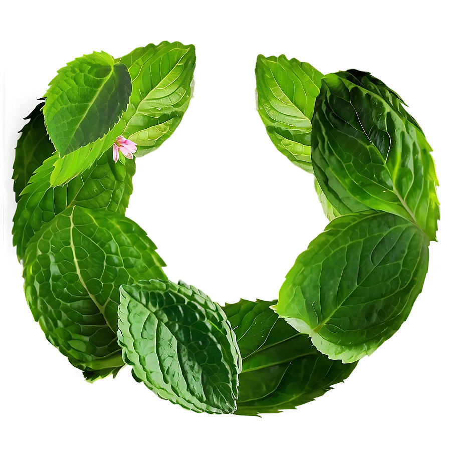 Mint Leaves Decoration Png Eyw PNG Image