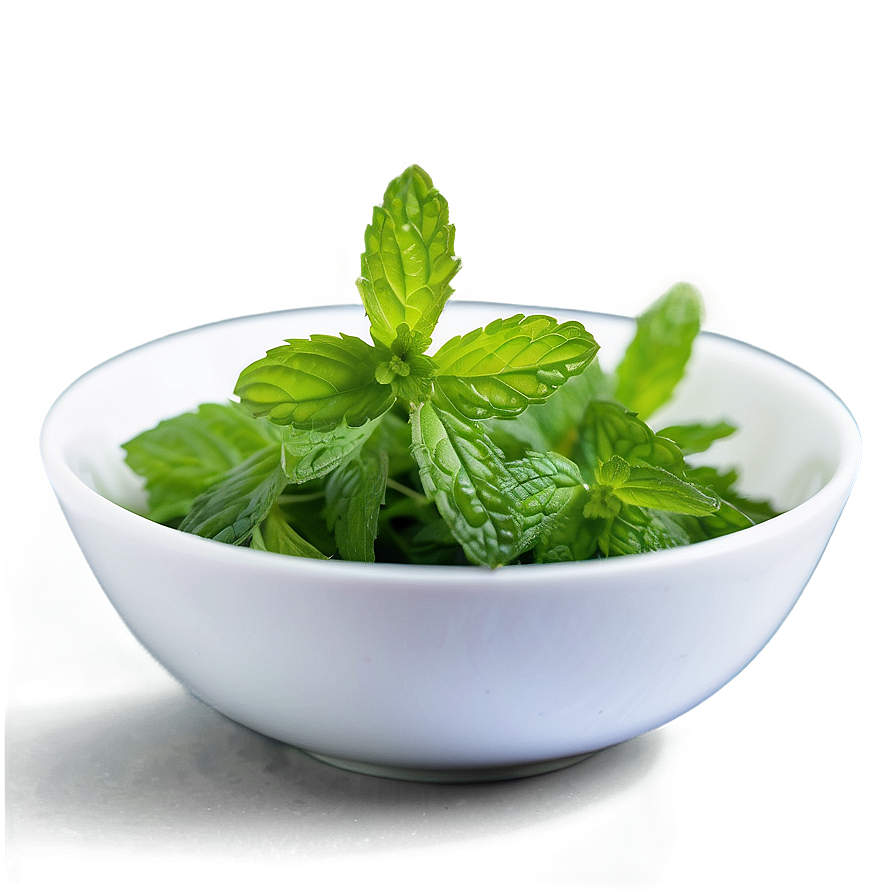 Mint Leaves Infusion Png Kkj85 PNG Image