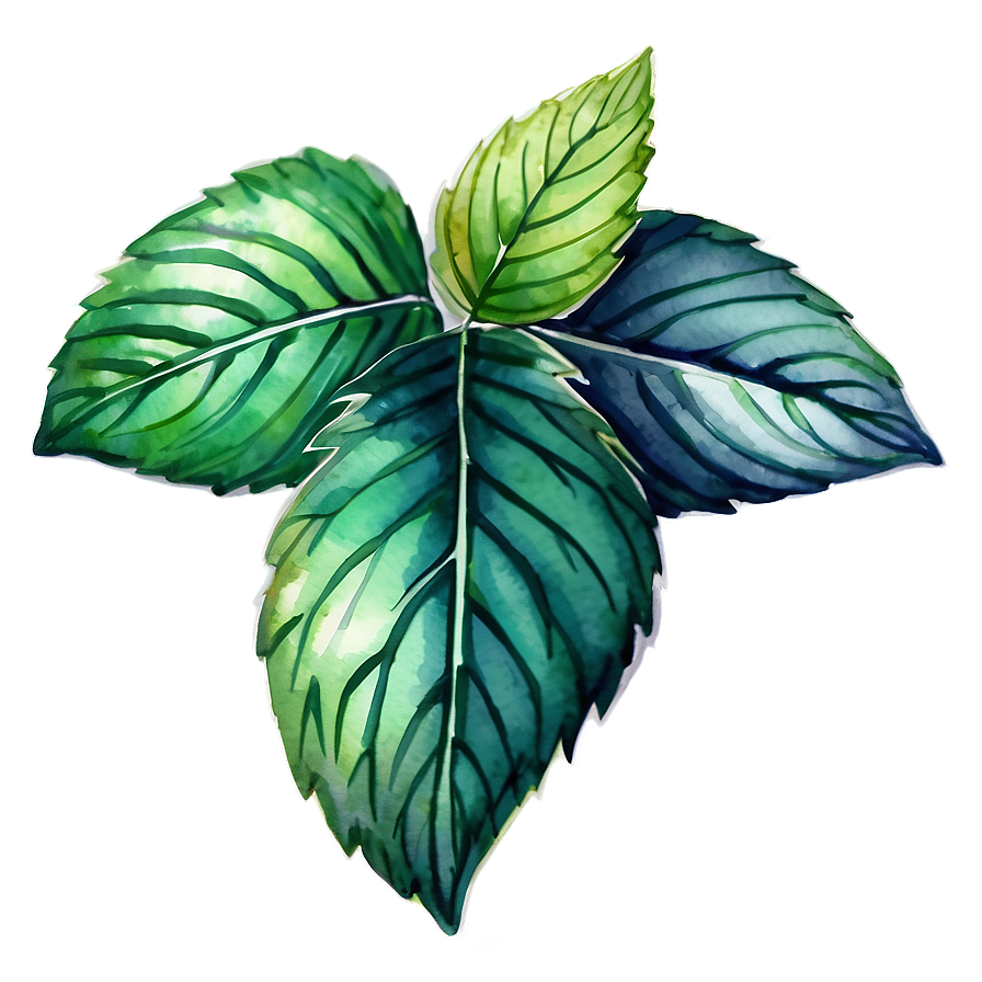 Mint Leaves Watercolor Png Tpc PNG Image