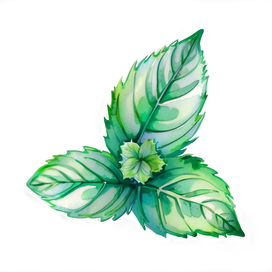 Mint Leaves Watercolor Png Wwc PNG Image