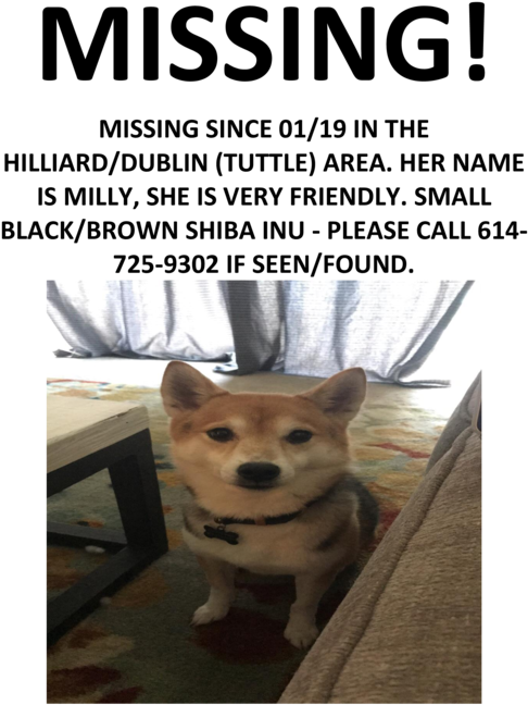 Missing Shiba Inu Milly Poster PNG Image