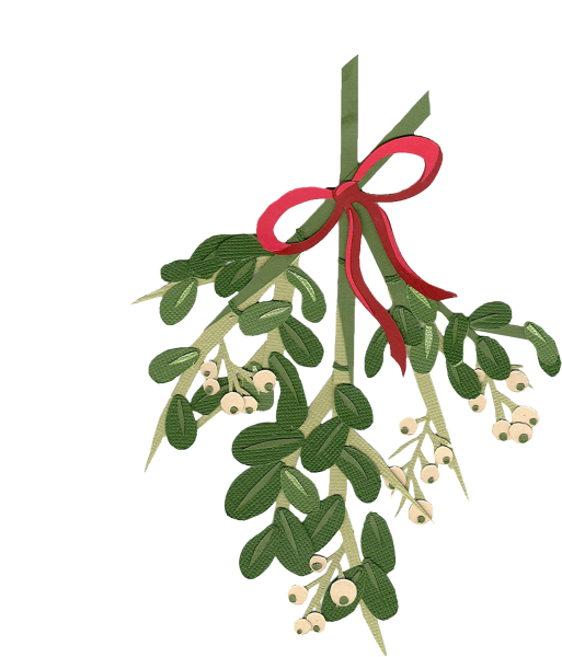 Mistletoe With Red Ribbon PNG Image