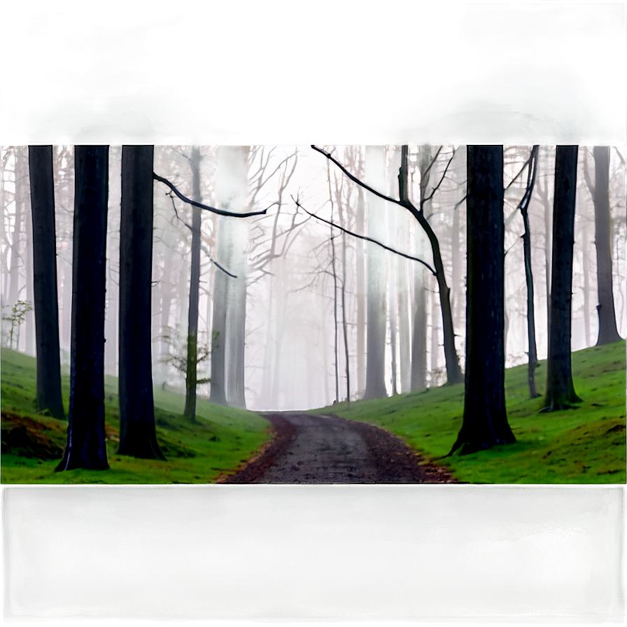 Misty Forest Path Landscape Png Akh PNG Image