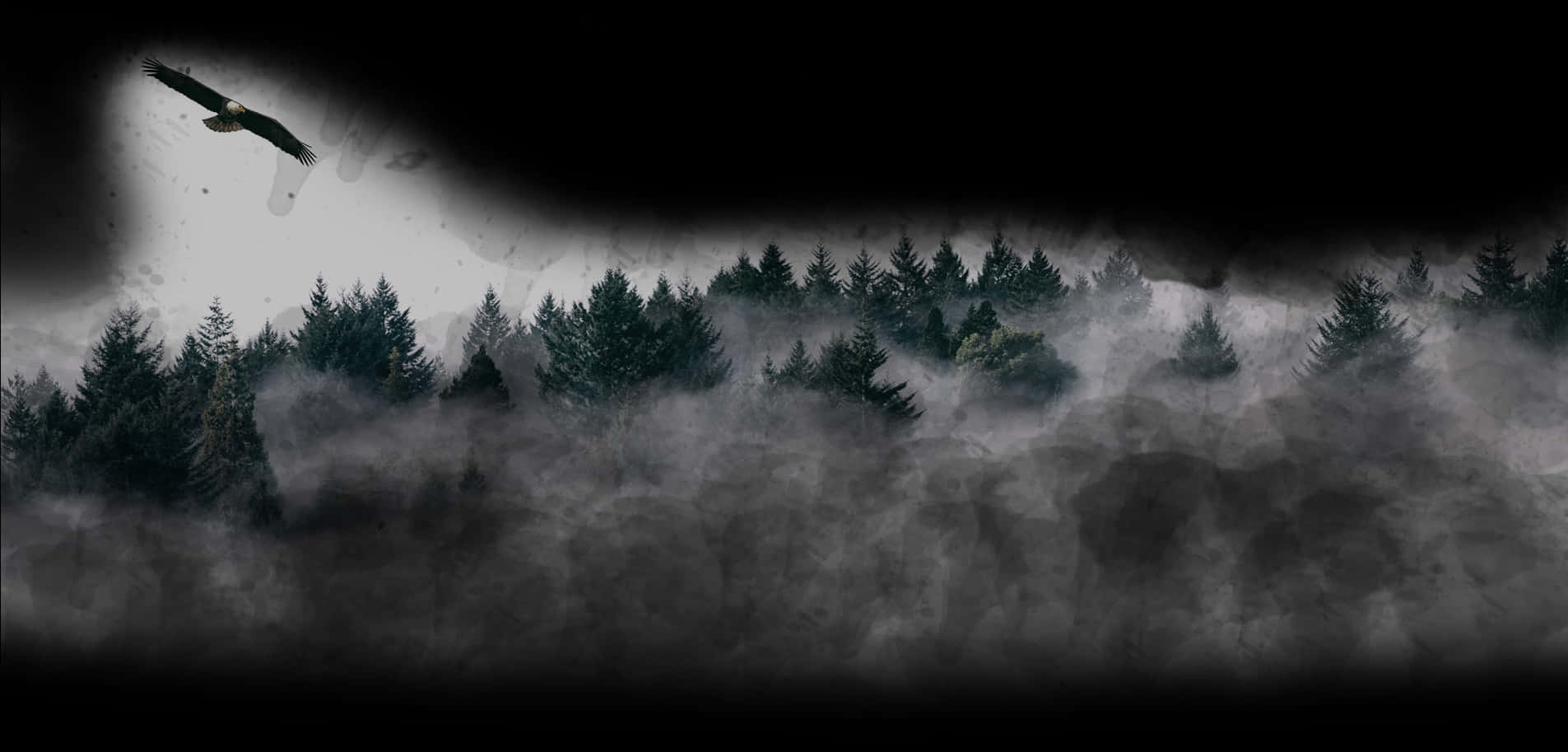 Misty_ Forest_with_ Eagle_ Flying PNG Image