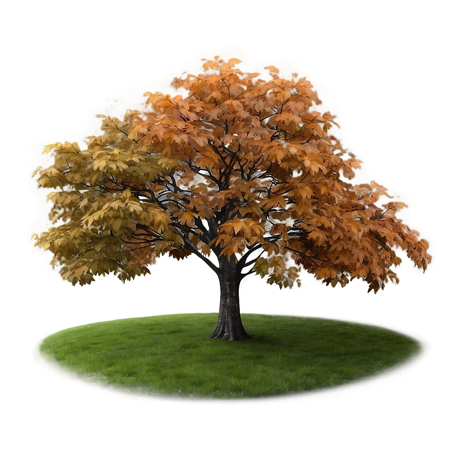 Misty Morning Fall Trees Png Akh16 PNG Image