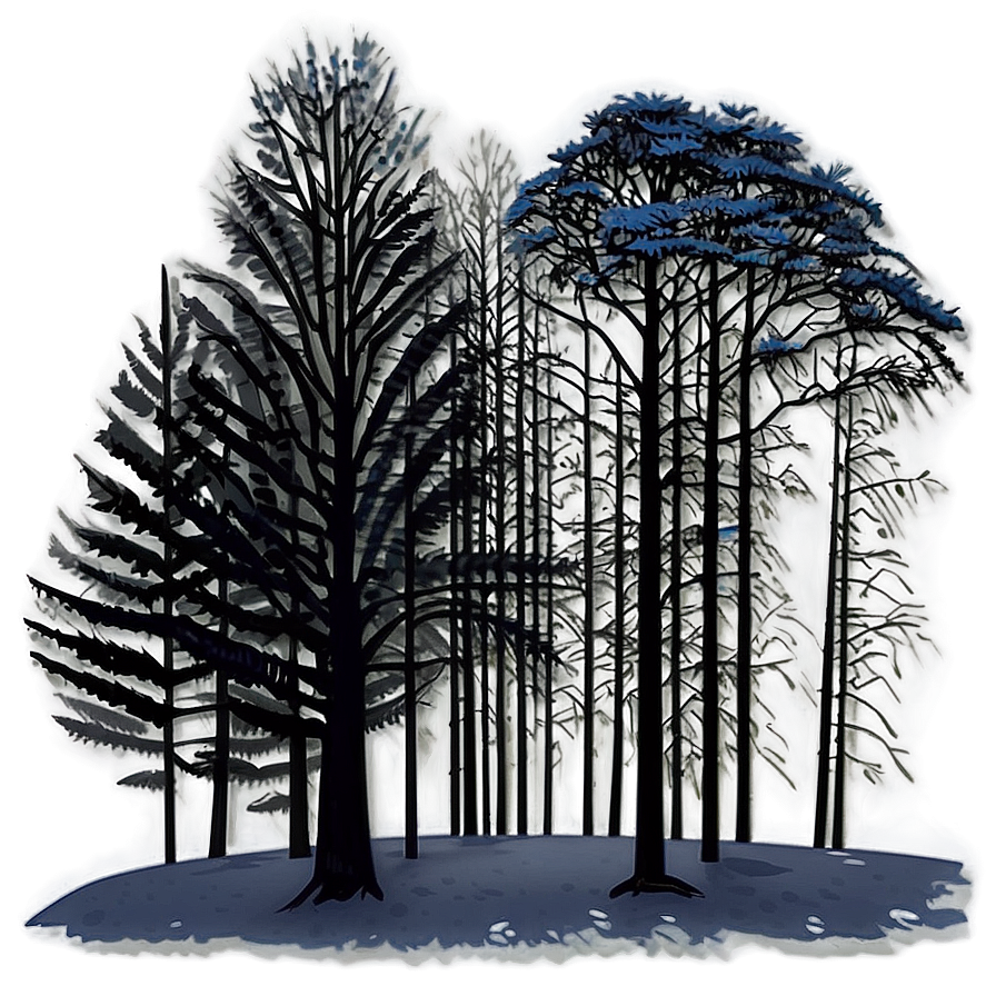 Misty Winter Morning Trees Png Nkb17 PNG Image