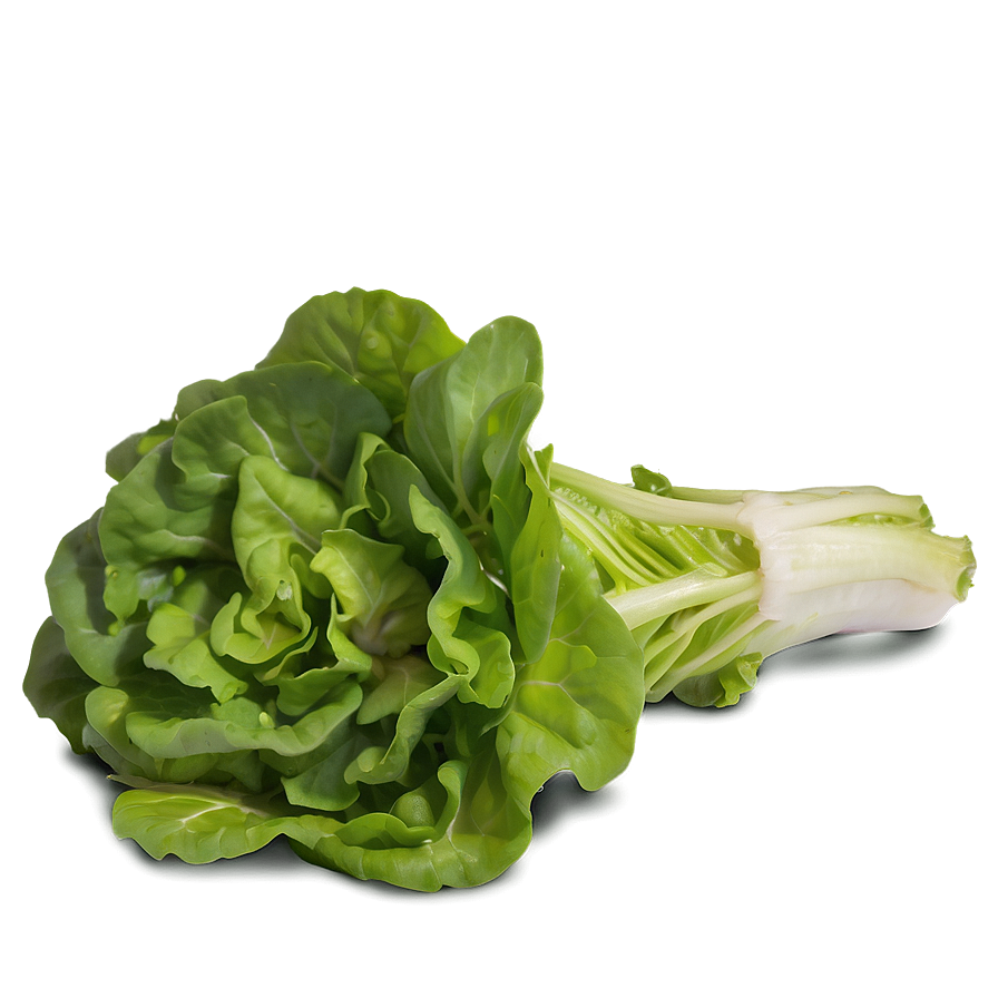 Mixed Lettuce Png 05242024 PNG Image