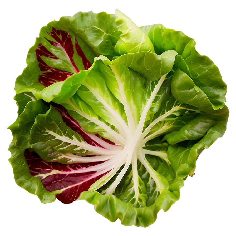 Mixed Lettuce Png 05242024 PNG Image