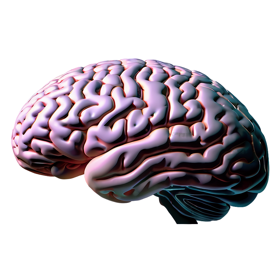 Modern Brain Outline Png 06272024 PNG Image