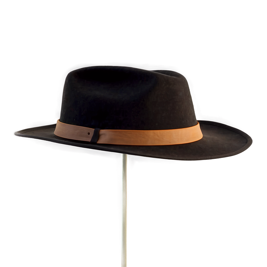 Modern Fedora Hat Png Alr9 PNG Image