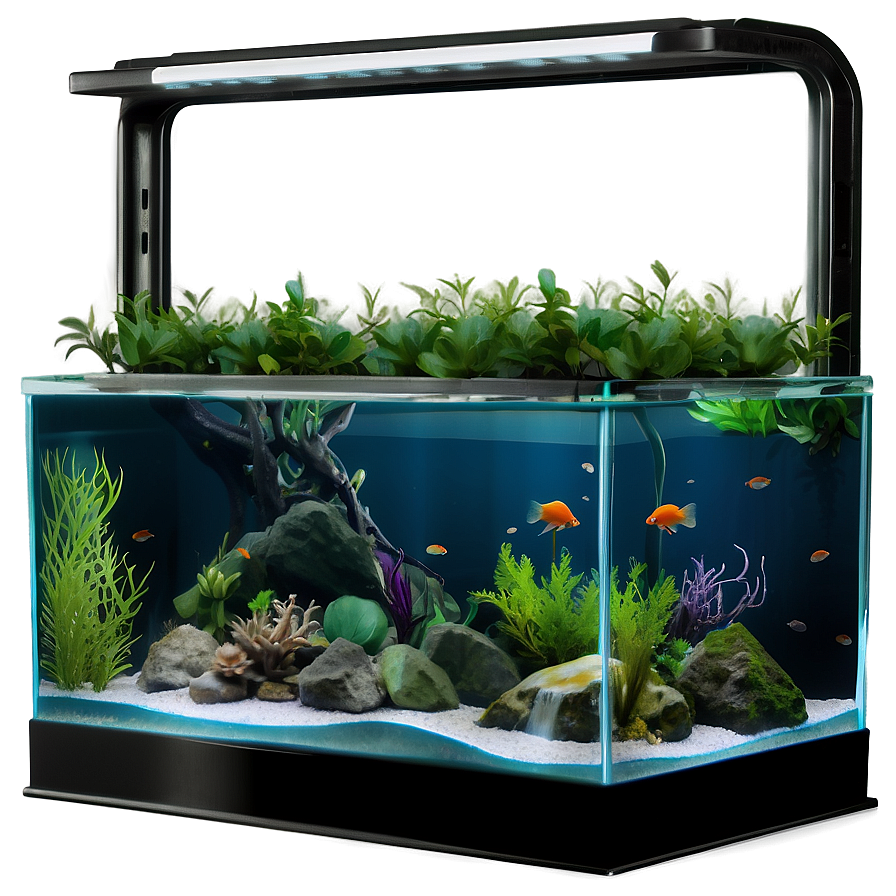 Modern Fish Tank Png Hlc PNG Image