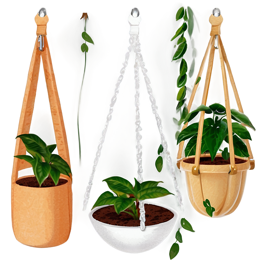 Modern Hanging Plant Png 05252024 PNG Image