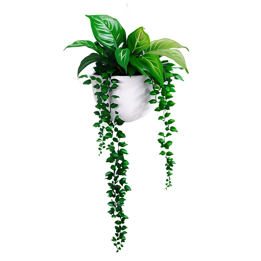 Modern Hanging Plant Png 05252024 PNG Image