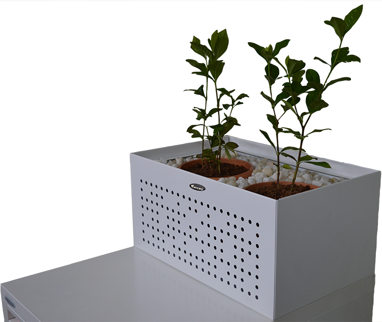 Modern Indoor Planterwith Plants PNG Image