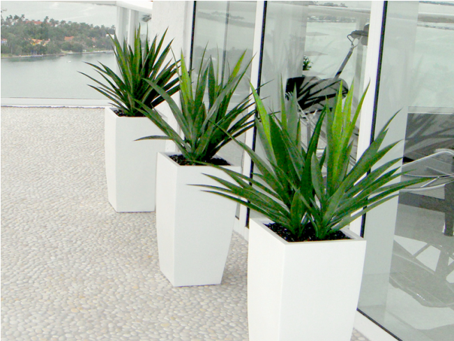 Modern Outdoor Planters Lakeside View PNG Image