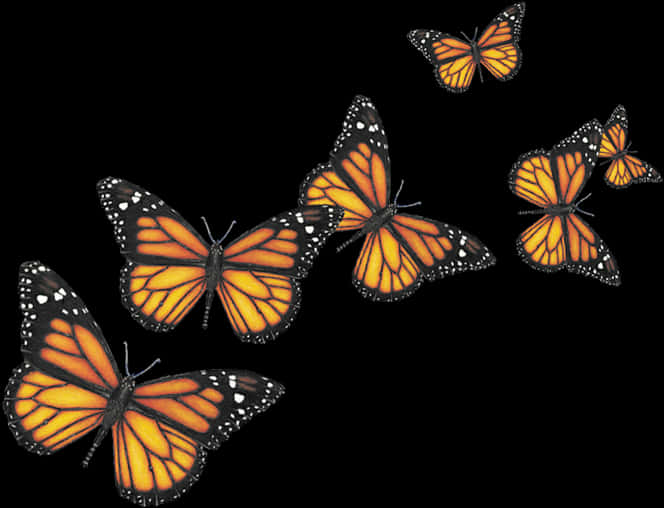 Monarch Butterflies Transparent Background PNG Image