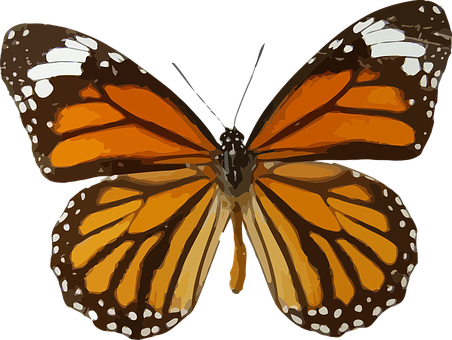 Monarch Butterfly Illustration PNG Image