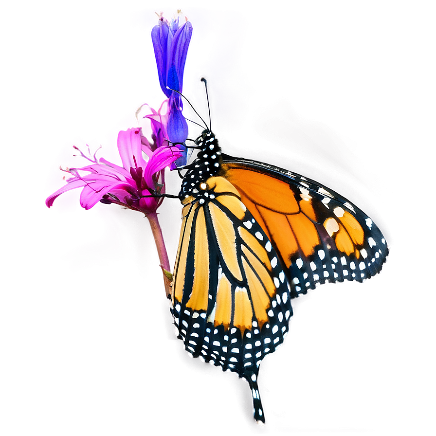 Monarch Butterfly In Flight Png Svl43 PNG Image