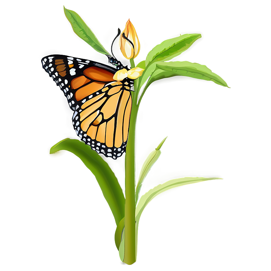 Monarch Butterfly In Garden Png 05252024 PNG Image