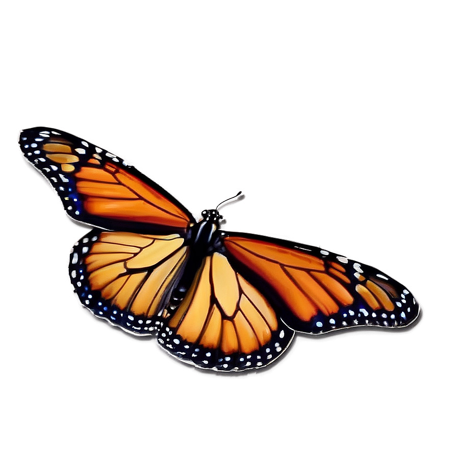 Monarch Butterfly Migration Png Bhv PNG Image