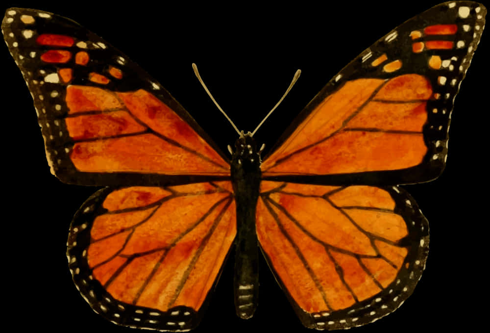 Monarch Butterfly Spread Wings PNG Image