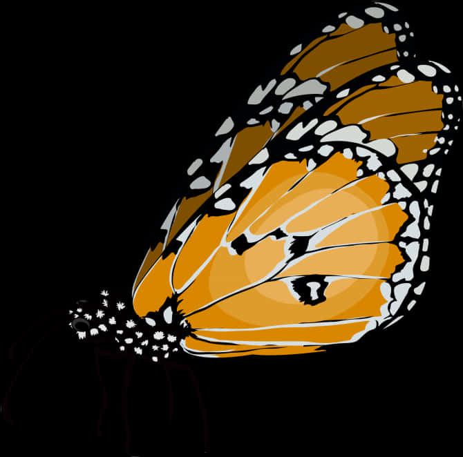 Monarch Butterfly Vector Art PNG Image