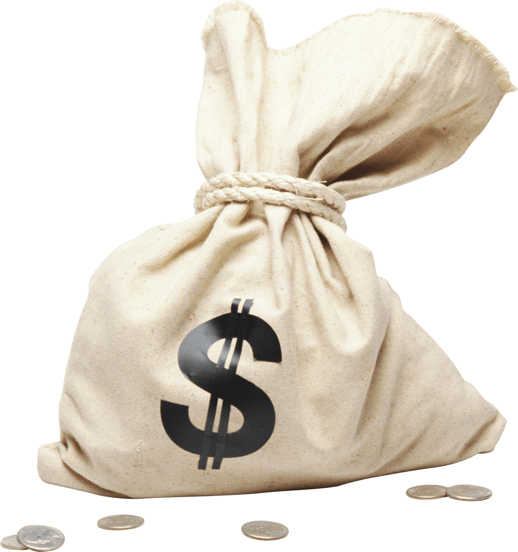 Money Bag Vector Illustration PNG Image