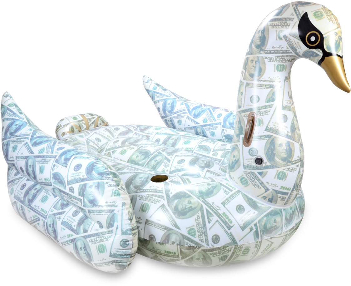 Money Printed Swan Pool Float PNG Image